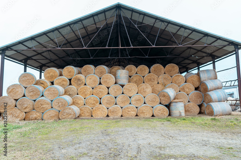 Huge barn for storing hay. Large bales of hay are stored under a large canopy. Waste from
