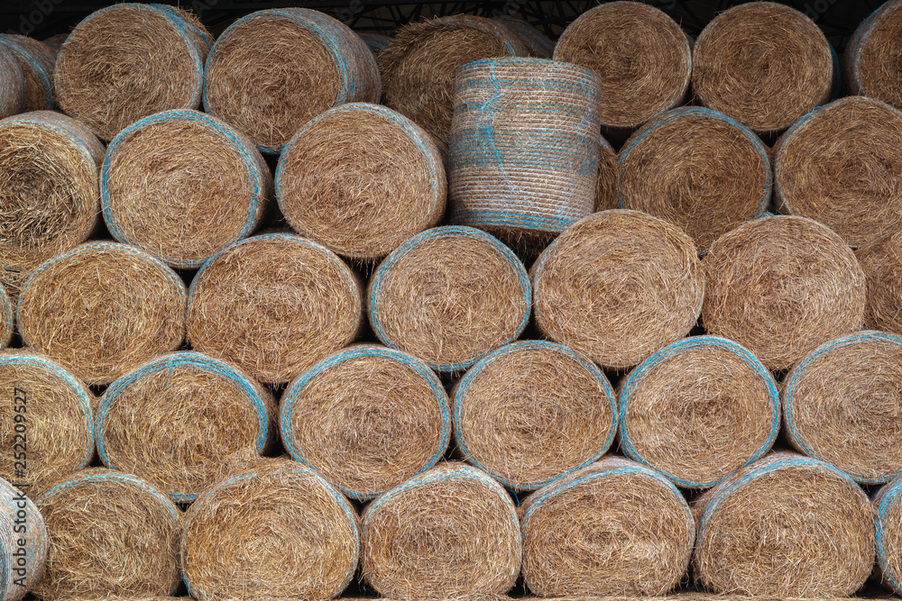 Huge barn for storing hay. Large bales of hay are stored under a large canopy. Waste from harvest Feed for herbivores, livestock Huge barn for storing hay. Large bales of hay are stored under a large canopy. Waste from harvest Feed for herbivores, livestock