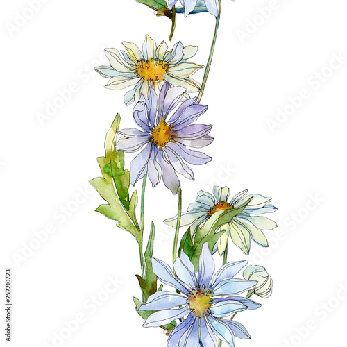 Daisy floral botanical flower. Watercolor background illustration set. Seamless background pattern.