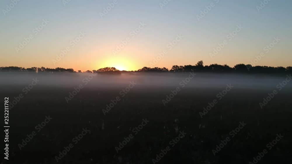 19-5 Flying to the sun over the summer mystical field in the fog 19-5 Flying to the sun over the summer mystical field in the fog