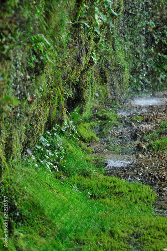 rinnende mauer near molln, national park kalkalpen, upper austria photo