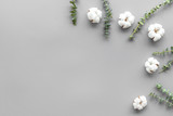 Flowers and leaves layout. Cotton near eucalyptus branches on grey background top view, flat lay space for text