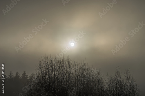 Landschaft Sonne im Nebel über dürren Ästen im späten Herbst - Landscape Sun in fog over dry branches in late autumn