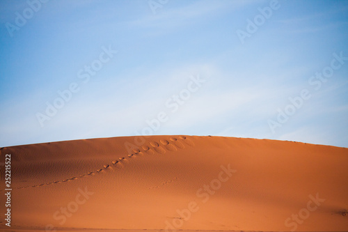 minimal Sahara