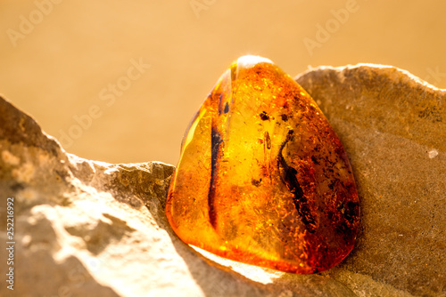 Amber in sun with inclusions Fototapeta