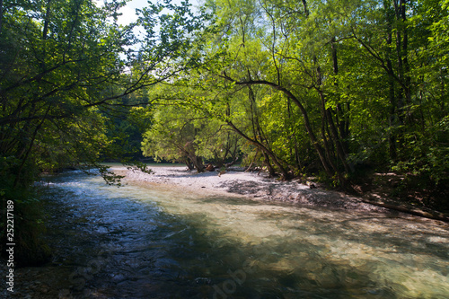 river steyr near molln, national park kalkalpen, upper austria photo