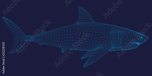 Polygonal shark frame of blue lines on a dark background. Side view. 3D.