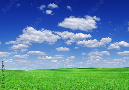 Idyllic view  green field and the blue sky with white clouds