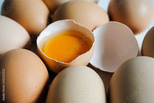 Brown chicken eggs on the table