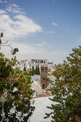 View of the old European city with white houses and a frame of trees