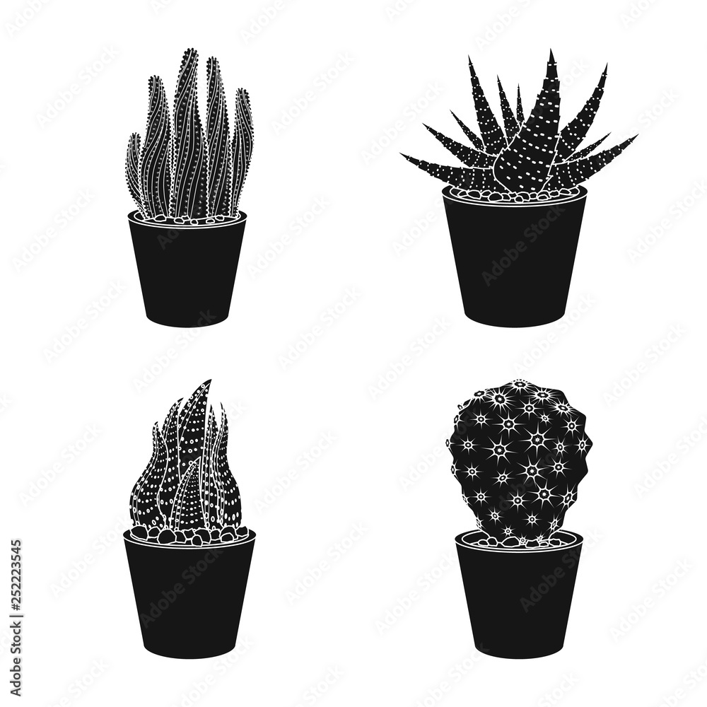 Fototapeta Isolated object of cactus and pot logo. Set of cactus and cacti stock symbol for web.