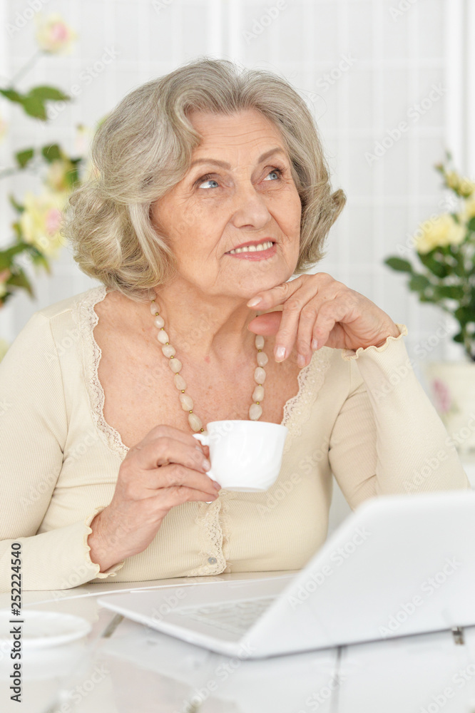 Portrait of happy senior woman drinking tea