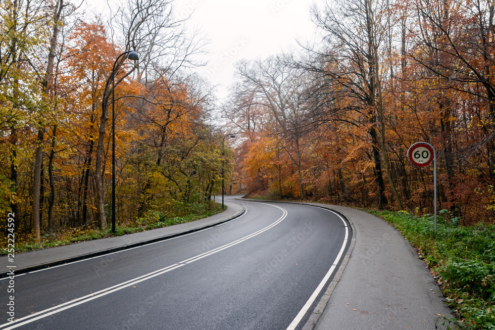 Road winding through a forest in Denmark