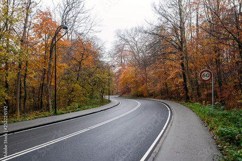 Road winding through a forest in Denmark