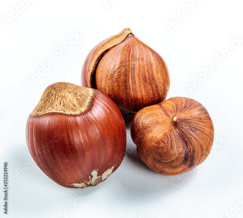 walnuts isolated white background