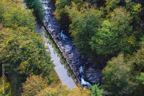 Borjomi botanical garden, view from abobe. Georgia country