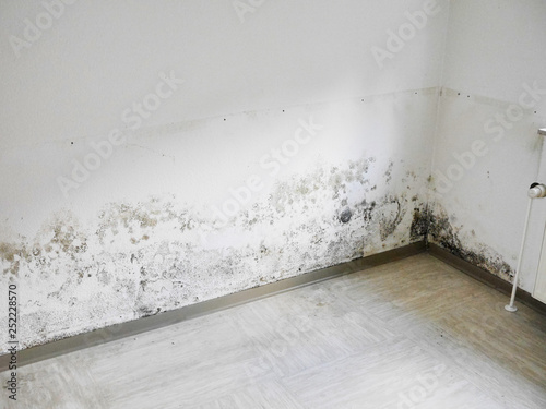 Schimmel und Feuchtigkeit an der Wand