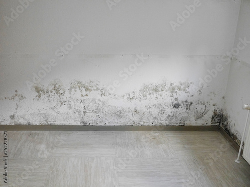 Schwarzer Schimmel an Küchenwand