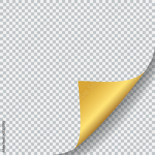 Golden Corner with realistic transparent shadow isolated on transparent background. Paper sheet with gold curled corner. Vector Design Element.