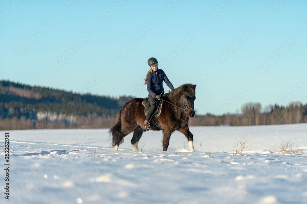 Young Swedish woman riding her Icelandic horse in a snow covered field Young Swedish woman riding her Icelandic horse in a snow covered field