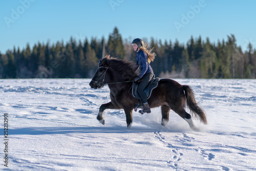 Swedish woman riding her Icelandic horse in deep snow