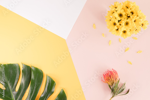 Summer flatlay composition. Yellow flowers on pastel yellow pink and white mu...