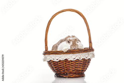 cute easter bunny sitting in wicker basket on white