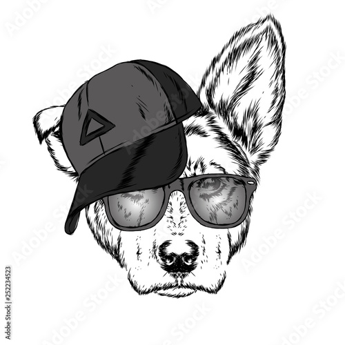 Cute Dog in cap and glasses. Vector illustration. 