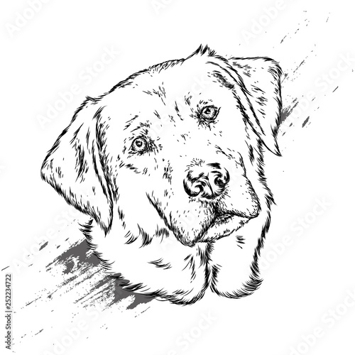 Portrait of a dog or puppy. Vector illustration for greeting card or poster, print on clothes.