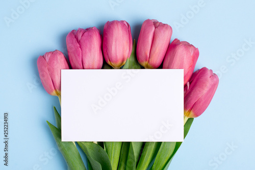 Fototapeta Naklejka Na Ścianę i Meble -  Pink flowers tulips and present card on a blue background