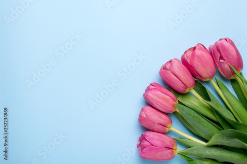 Fototapeta Naklejka Na Ścianę i Meble -  Pink flowers tulips on a blue background