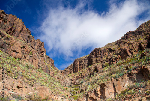 Gran Canaria, February © Tamara Kulikova