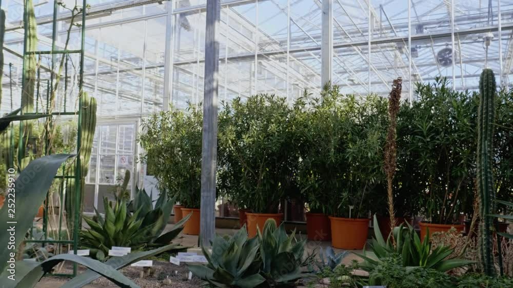 Interrior of a botanical greenhouse. Interrior of a botanical greenhouse.