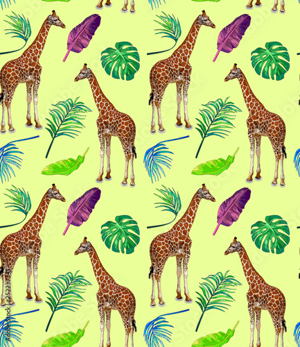 Photography Cute seamless summer pattern with giraffe and flowers