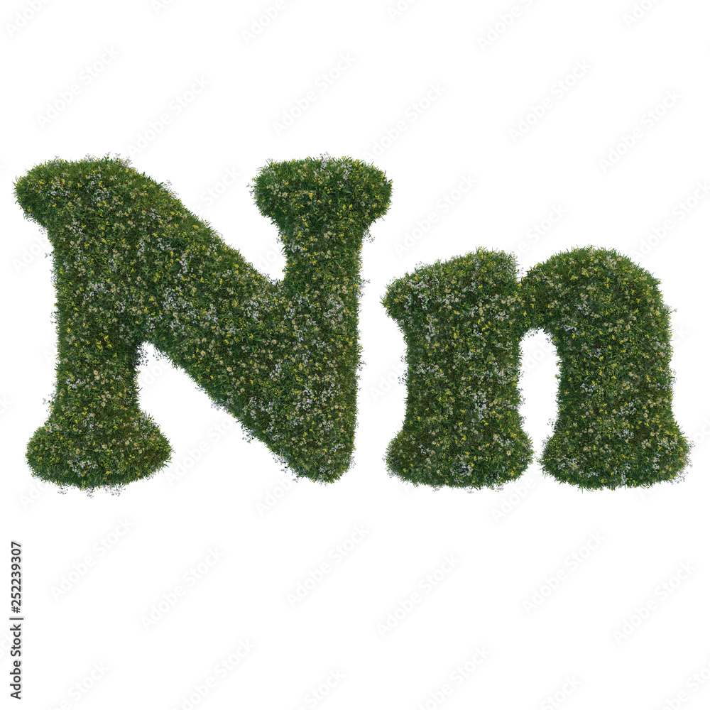 Letters made of leaves and flowers Letters made of leaves and flowers