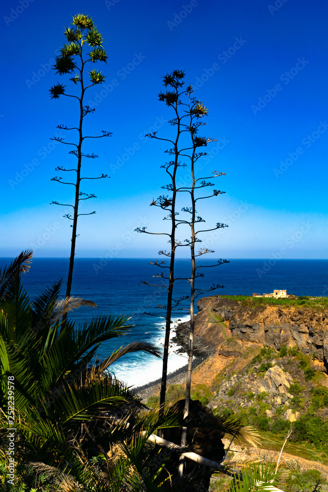 Obraz premium The Atlantic view