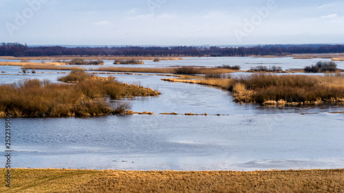 Biebrzanski Park Narodowy. Wiosna nad Biebrza. Rozlewiska Biwbrzy