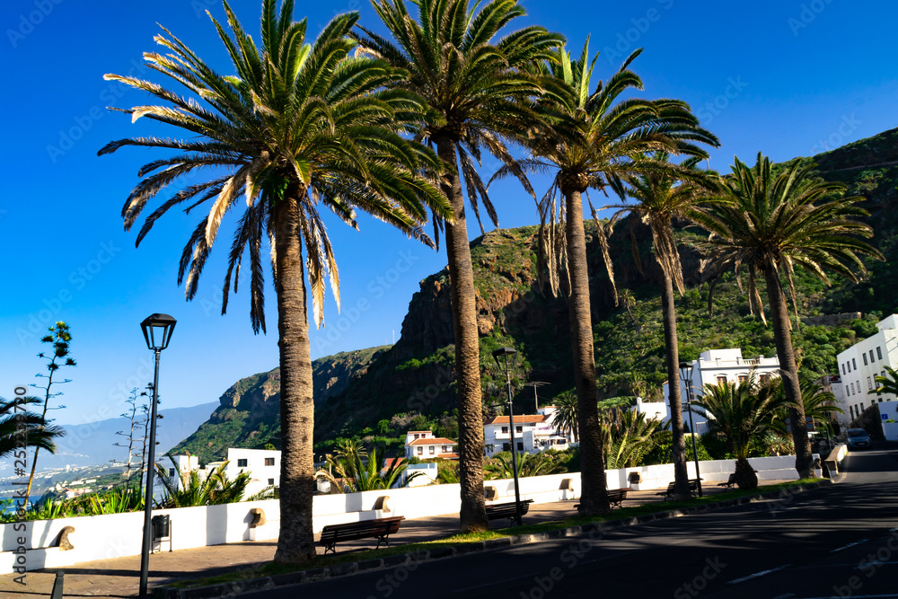 Fototapeta premium A tropical view from San Juan de la Rambla