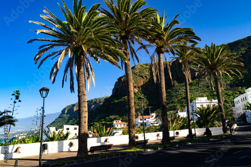 A tropical view from San Juan de la Rambla © Thomas / CreaGrafico