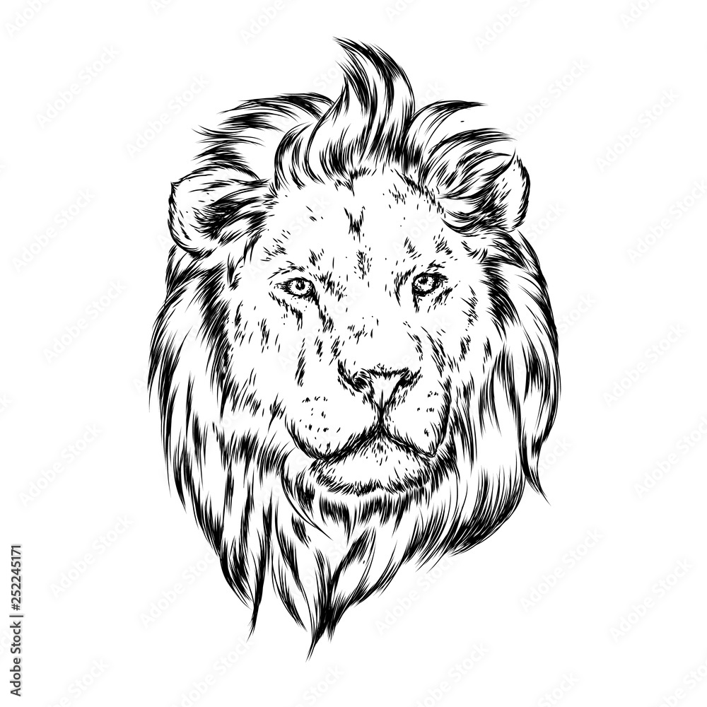 Beautiful leo with open mouth and fangs. Wild animal, predator. Vector