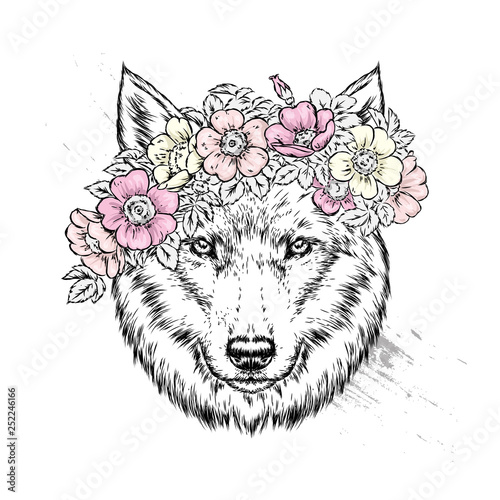 A beautiful wolf or dog in a wreath of wild rose. Vector illustration for postcard or poster, print for clothes. Spring and summer, a bouquet of flowers. Vintage and retro. Hipster