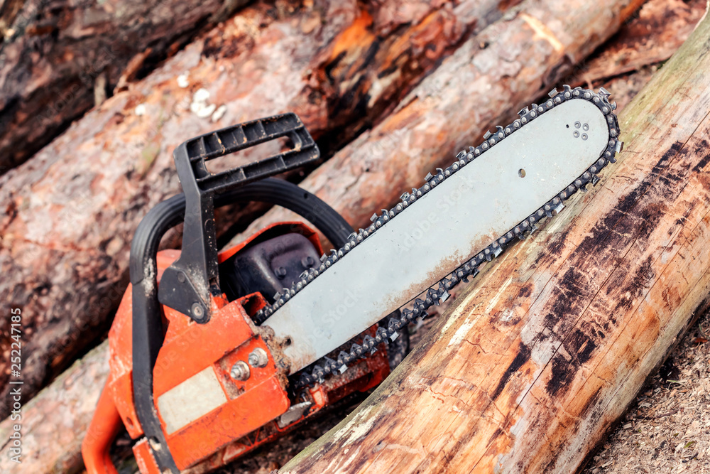 Professional chainsaw blade cutting log of wood. Chainsaw, wood, wood felling.