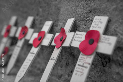 Close up of small wooden crosses with Poppy’s for Remembrance Day