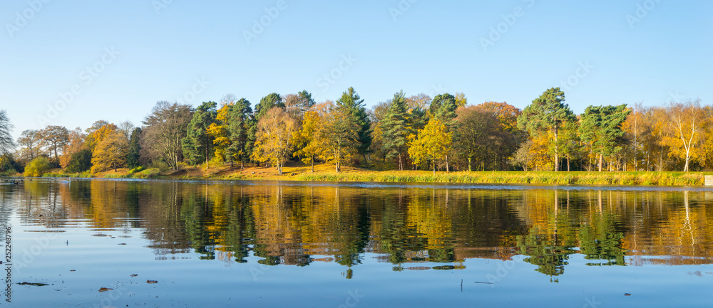 Landscape with tree lined lake and reflection 