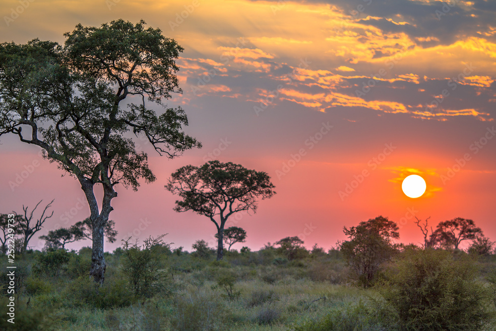 African sun  over Savanna plain