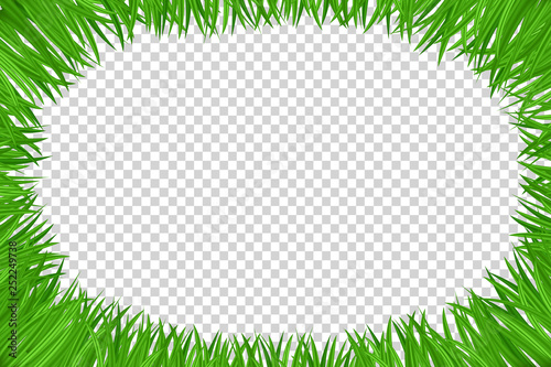 Vector realistic isolated Grass Frame for template decoration on the transparent background. Concept of Happy Spring and Easter.