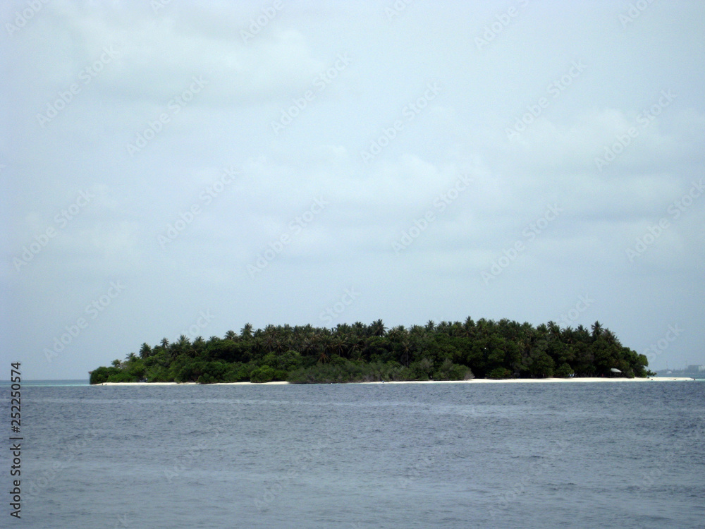 island in the ocean