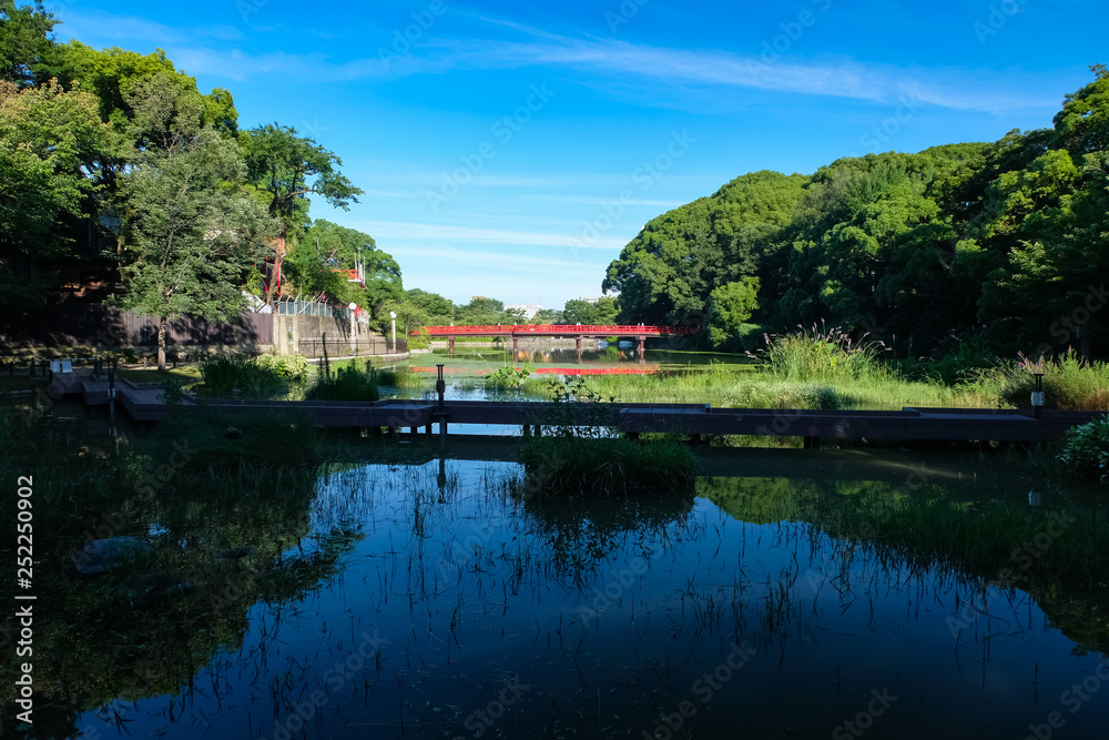 天王寺公園 河底池