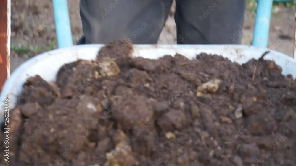 A man in working clothes, carrying a humus cart and spilling it around the garden.
