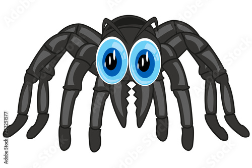Poisonous spider tarantula on white background is insulated